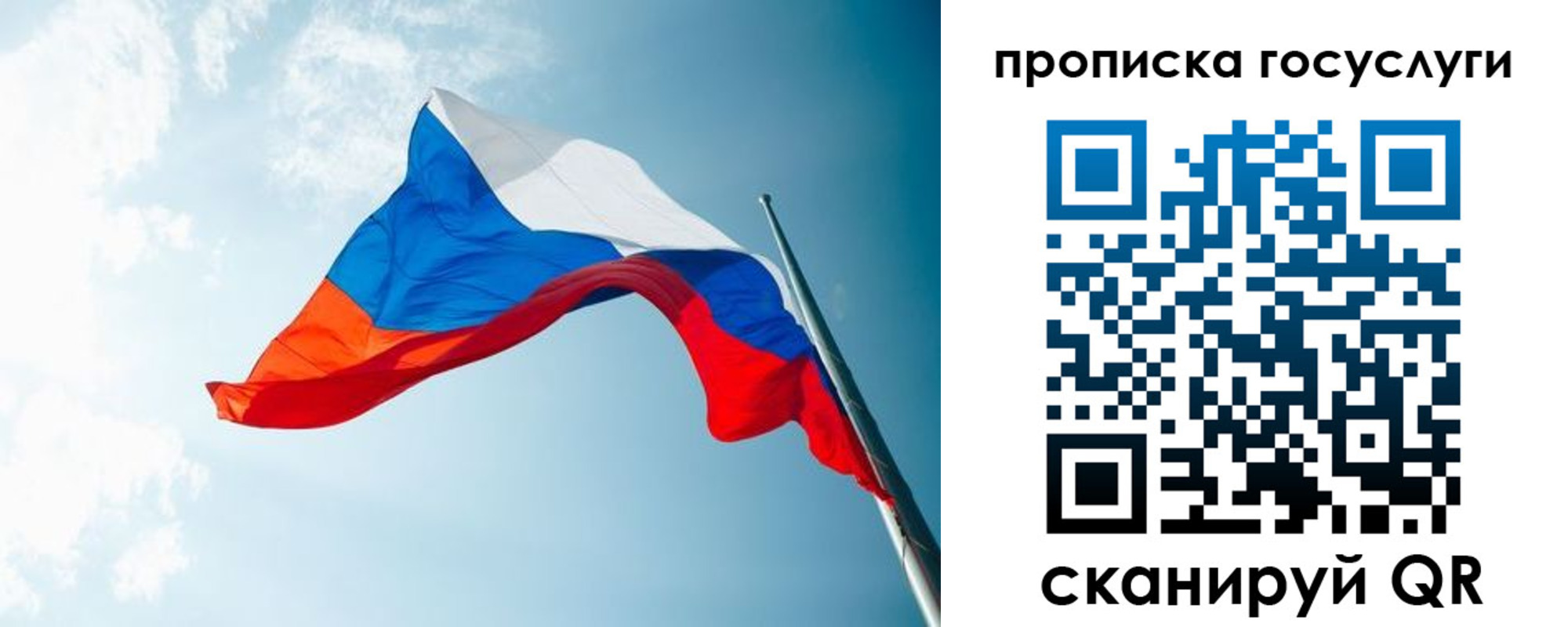 регистрация для школы в Чудово